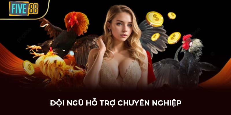 Đội ngũ hỗ trợ chuyên nghiệp