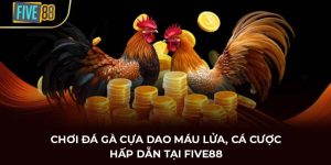 đá gà cựa dao five88