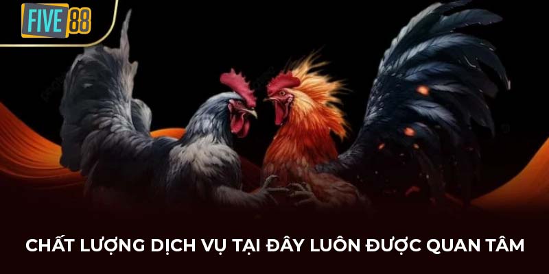 Chất lượng dịch vụ tại đây luôn được quan tâm