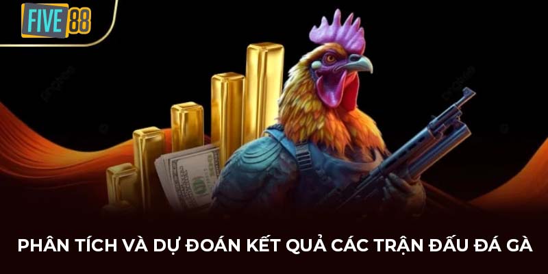 Phân tích và dự đoán kết quả các trận đấu đá gà