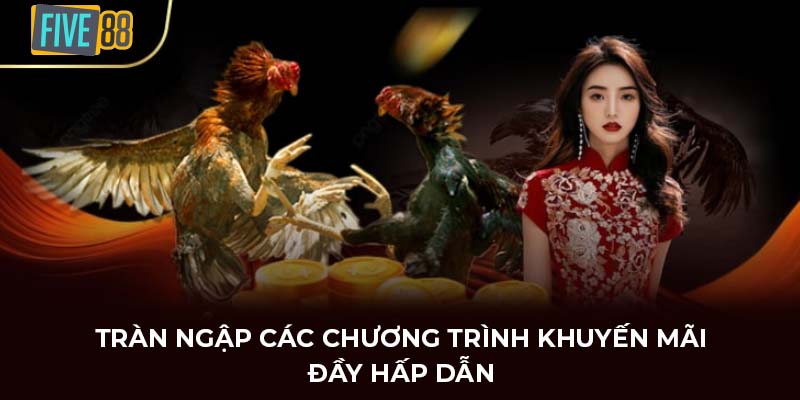 Tràn ngập các chương trình khuyến mãi đầy hấp dẫn