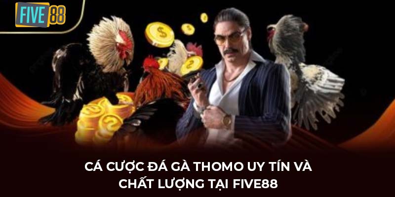 đá gà thomo