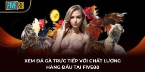đá gà trực tiếp five88