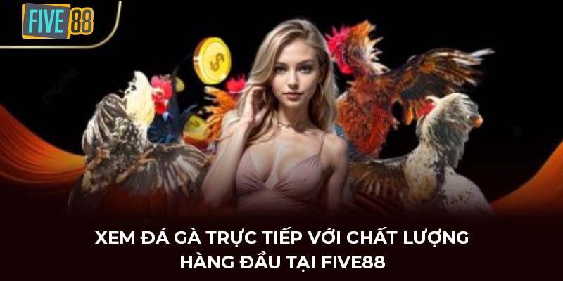 đá gà trực tiếp five88