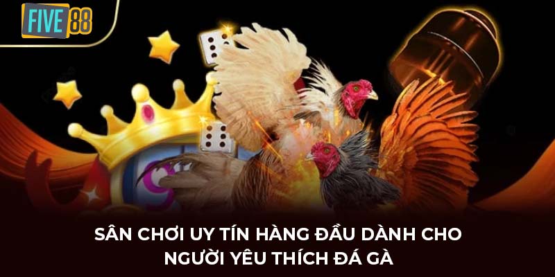 Sân chơi uy tín hàng đầu dành cho người yêu thích đá gà