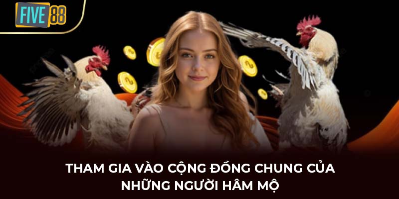 Tham gia vào cộng đồng chung của những người hâm mộ